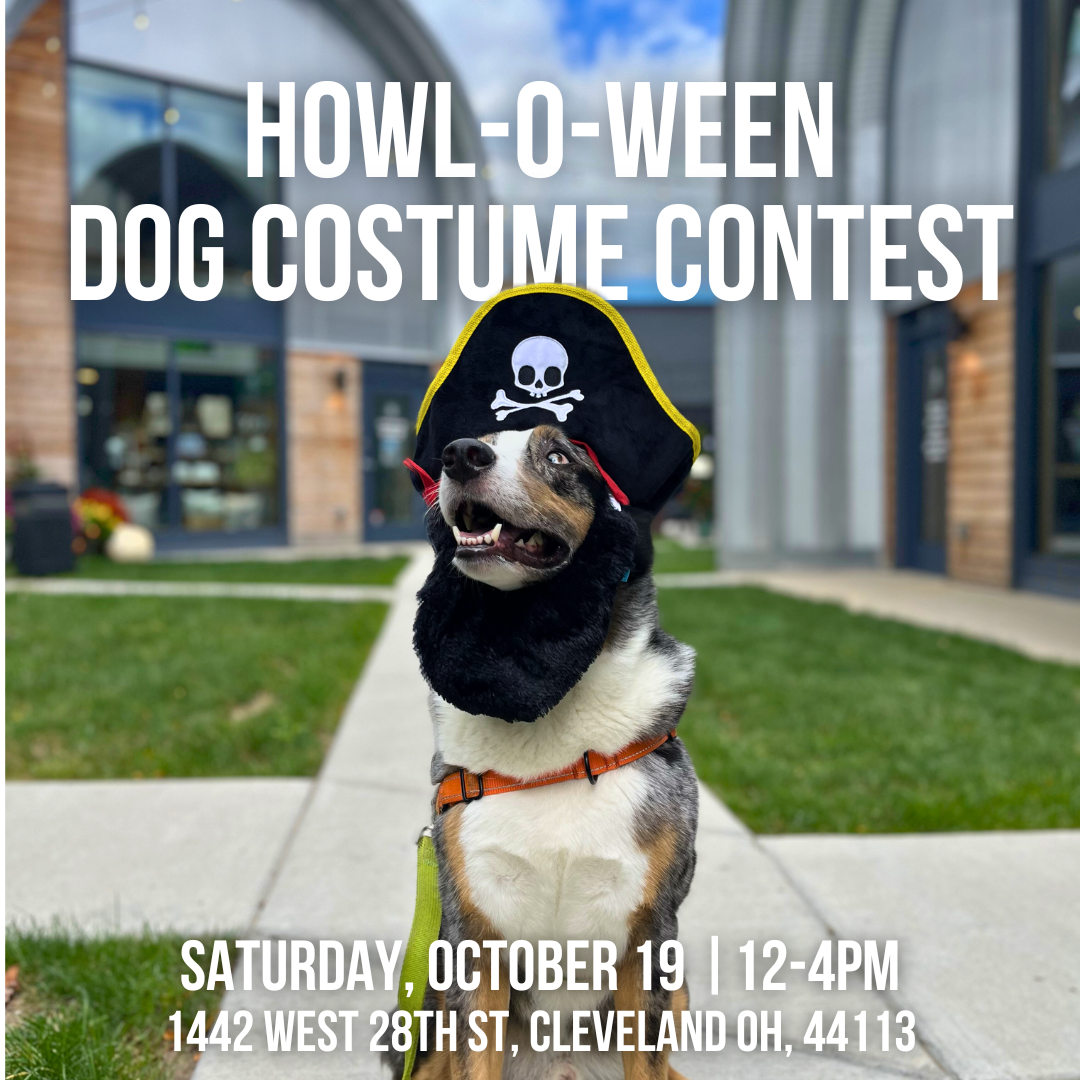 howloween howloween